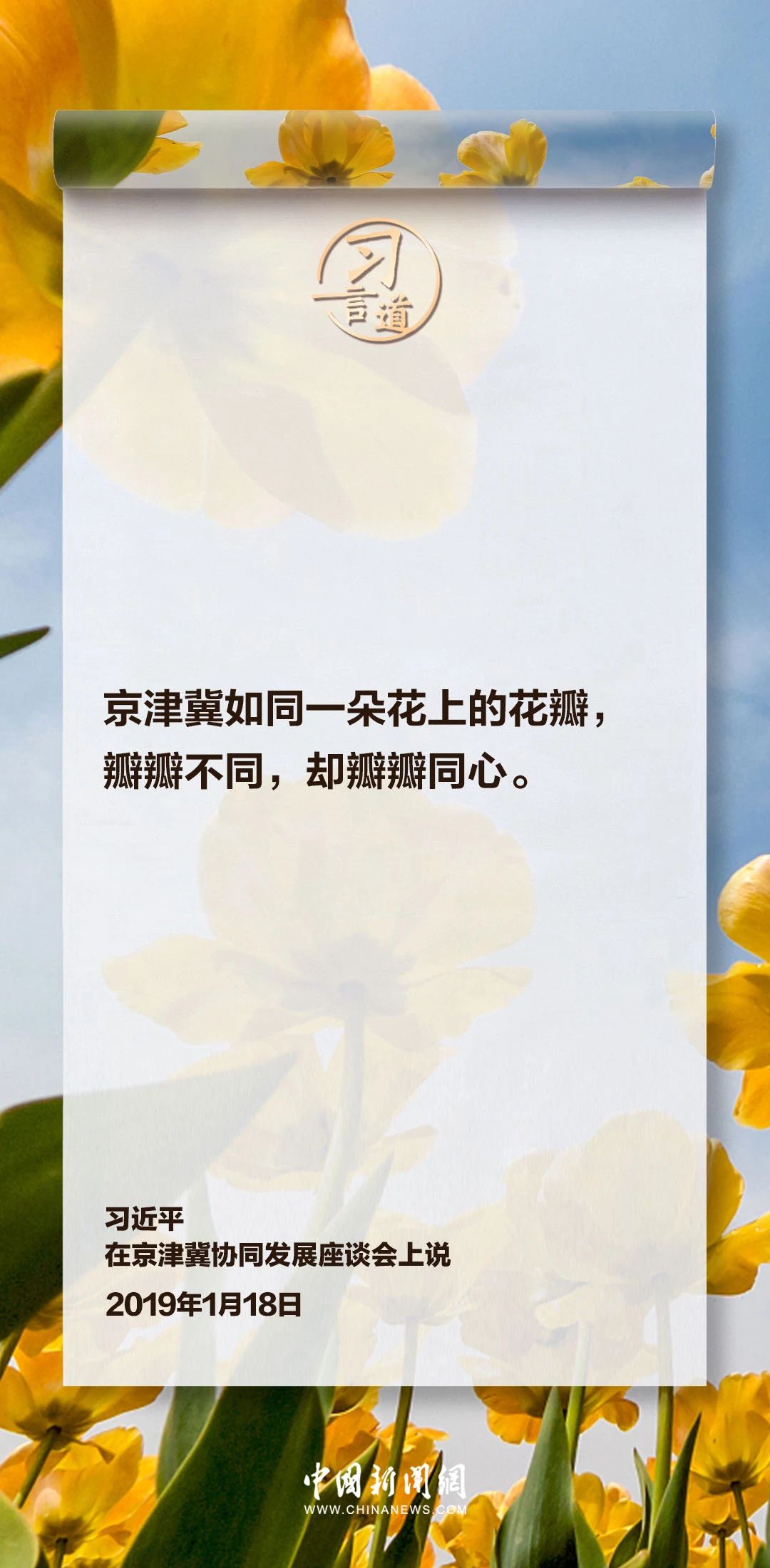 77体育加速节点